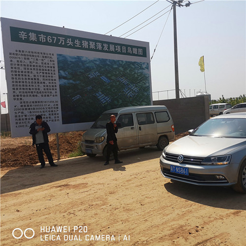 辛集市67万头生猪聚落采购91视频污版下载钢三柱91视频污污
